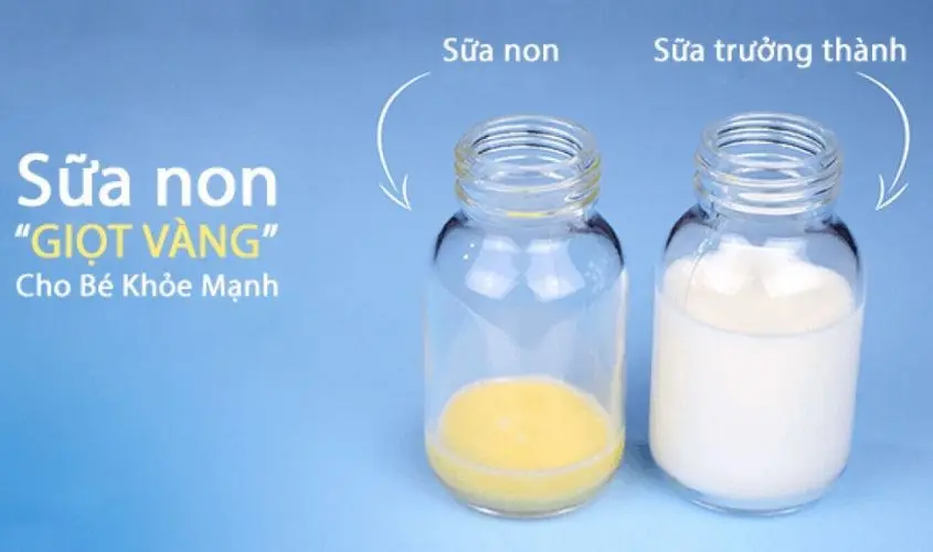 Có nên sử dụng sữa non cho bé không?