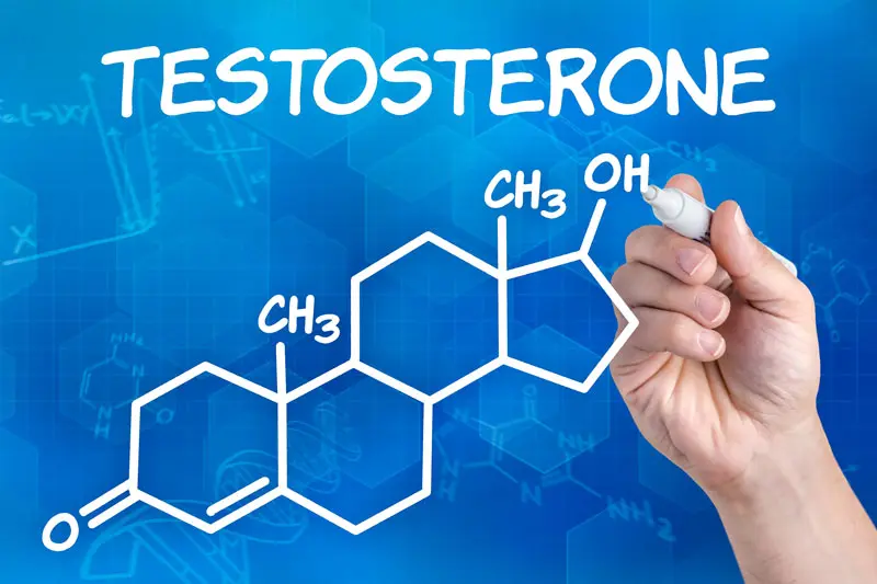 Testosterone là gì?