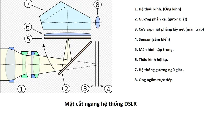 Máy ảnh DSLR là gì? Ưu điểm của máy ảnh DSLR?